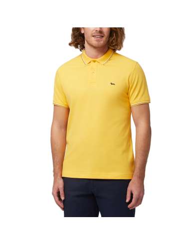 HARMONT & BLAINE man yellow polo shirt NARROW LNL032 020862 302